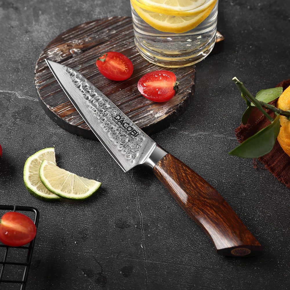 Nóż uniwersalny C31, stal damasceńska, 13 cm - DACOBI.pl